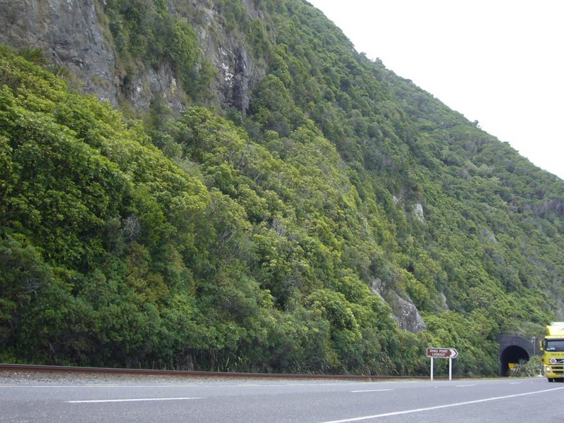 Travel - New Zealand - Kaikoura
